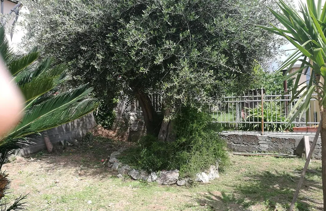 b&b bellavista-1